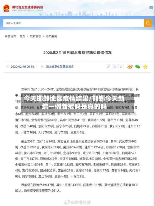 今天邯郸地区疫情结果/邯郸今天新增一例新冠吗是真的吗-第1张图片