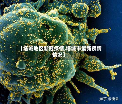 【塔诚地区新冠疫情,塔城市最新疫情情况】-第2张图片
