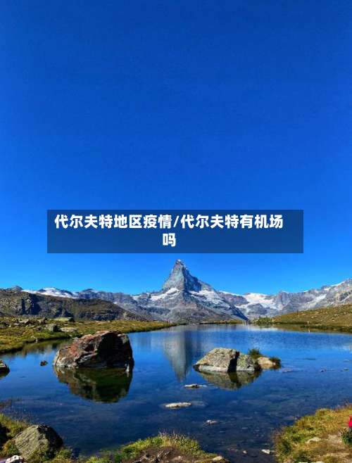 代尔夫特地区疫情/代尔夫特有机场吗-第3张图片
