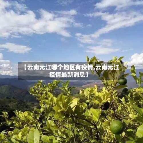 【云南元江哪个地区有疫情,云南元江疫情最新消息】-第3张图片