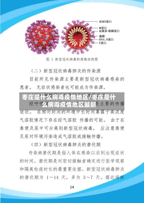 枣庄是什么病毒疫情地区/枣庄是什么病毒疫情地区最新-第2张图片