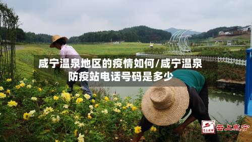 咸宁温泉地区的疫情如何/咸宁温泉防疫站电话号码是多少-第2张图片