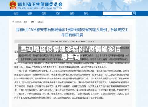 查询地区疫情确诊病例/疫情确诊信息查询-第3张图片