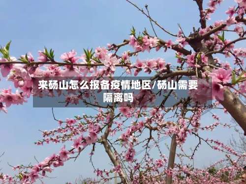 来砀山怎么报备疫情地区/砀山需要隔离吗-第2张图片