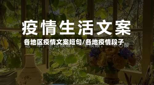各地区疫情文案短句/各地疫情段子-第2张图片