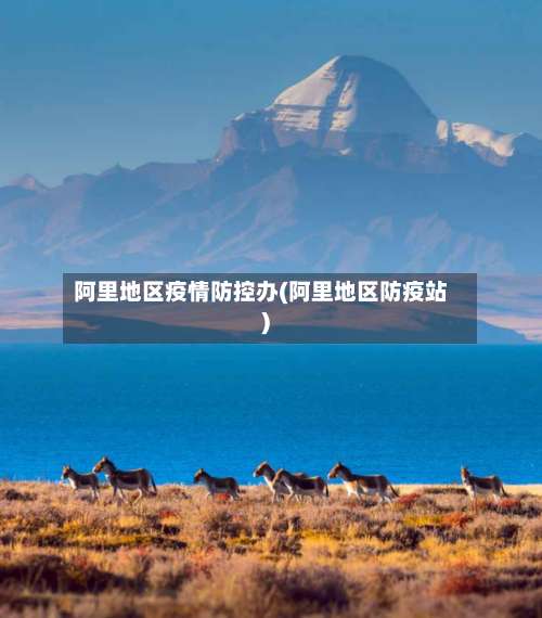 阿里地区疫情防控办(阿里地区防疫站)-第2张图片