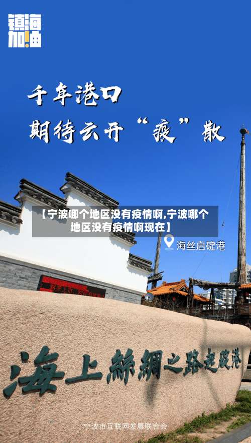 【宁波哪个地区没有疫情啊,宁波哪个地区没有疫情啊现在】-第2张图片