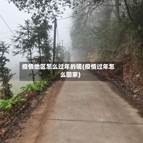 疫情地区怎么过年的呢(疫情过年怎么回家)-第2张图片