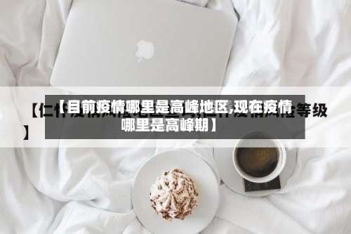 【目前疫情哪里是高峰地区,现在疫情哪里是高峰期】-第3张图片