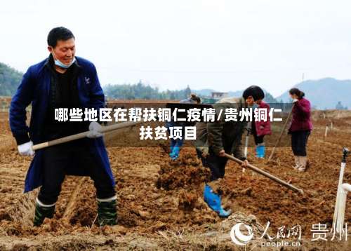 哪些地区在帮扶铜仁疫情/贵州铜仁扶贫项目-第2张图片
