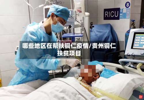 哪些地区在帮扶铜仁疫情/贵州铜仁扶贫项目-第1张图片