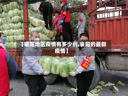 【襄阳地区疫情有多少例,襄阳的最新疫情】-第3张图片