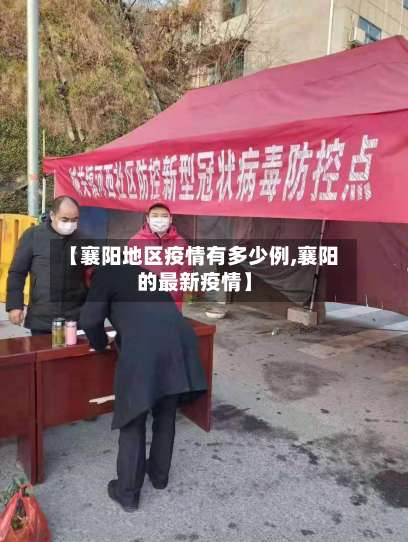 【襄阳地区疫情有多少例,襄阳的最新疫情】-第2张图片