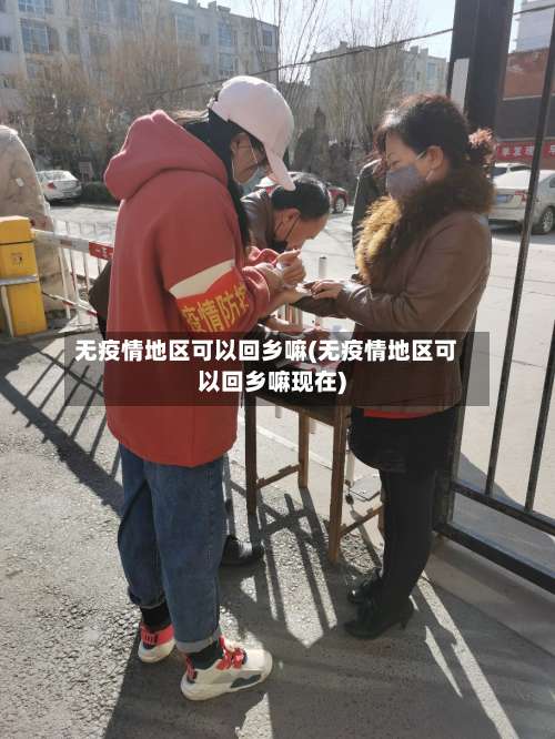 无疫情地区可以回乡嘛(无疫情地区可以回乡嘛现在)-第3张图片