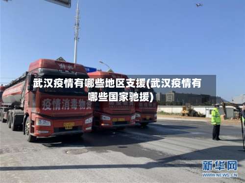武汉疫情有哪些地区支援(武汉疫情有哪些国家驰援)-第2张图片