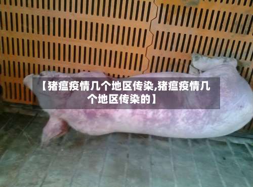 【猪瘟疫情几个地区传染,猪瘟疫情几个地区传染的】-第1张图片