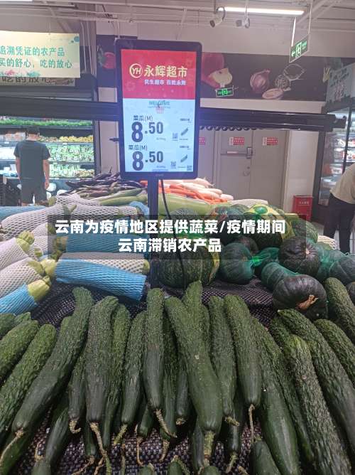 云南为疫情地区提供蔬菜/疫情期间云南滞销农产品-第1张图片