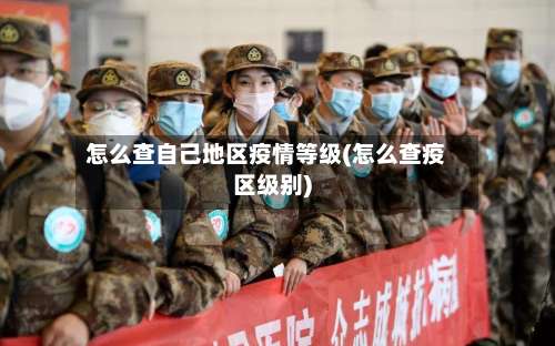 怎么查自己地区疫情等级(怎么查疫区级别)-第2张图片