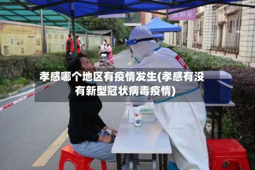 孝感哪个地区有疫情发生(孝感有没有新型冠状病毒疫情)-第2张图片