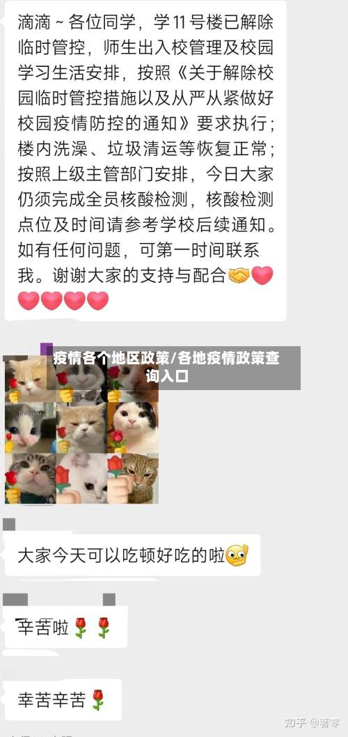 疫情各个地区政策/各地疫情政策查询入口-第3张图片