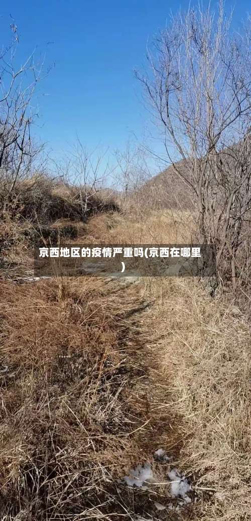 京西地区的疫情严重吗(京西在哪里)-第2张图片
