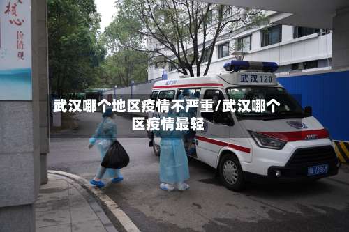 武汉哪个地区疫情不严重/武汉哪个区疫情最轻-第1张图片