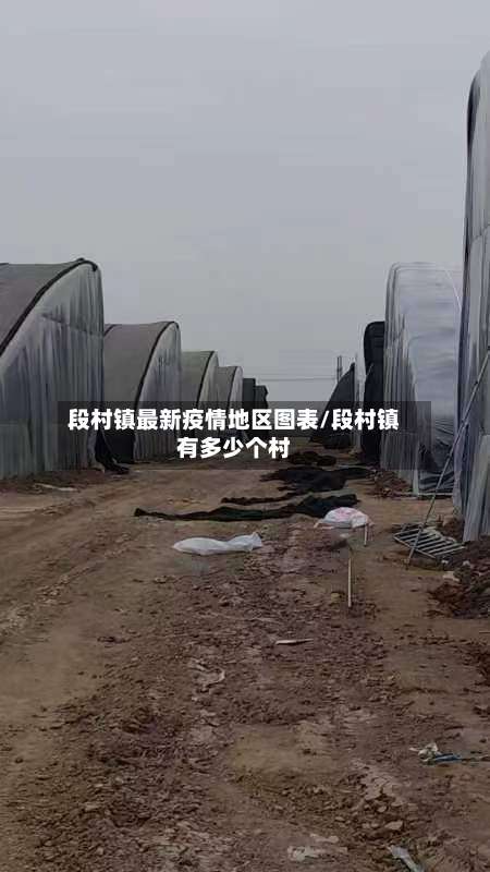 段村镇最新疫情地区图表/段村镇有多少个村-第2张图片