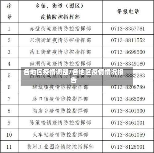 各地区疫情调整/各地区疫情情况报告-第2张图片
