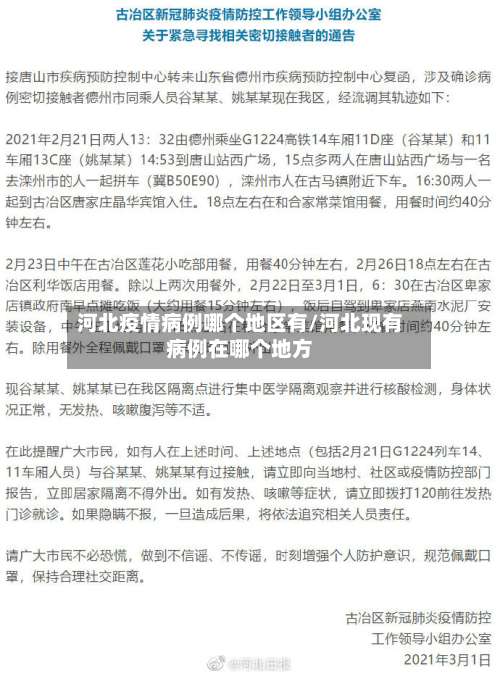河北疫情病例哪个地区有/河北现有病例在哪个地方-第1张图片