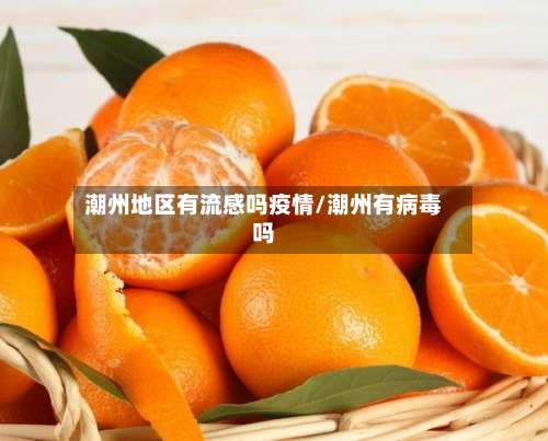 潮州地区有流感吗疫情/潮州有病毒吗-第3张图片