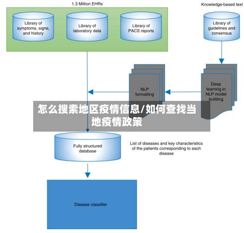 怎么搜索地区疫情信息/如何查找当地疫情政策-第2张图片