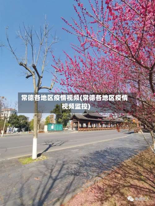 常德各地区疫情视频(常德各地区疫情视频监控)-第2张图片