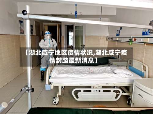 【湖北咸宁地区疫情状况,湖北咸宁疫情封路最新消息】-第3张图片