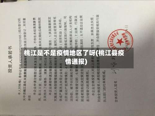 桃江是不是疫情地区了呀(桃江县疫情通报)-第2张图片